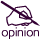 opinion